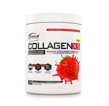 Collagen X5 360g